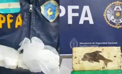 Operativo en Santiago: La marca del delfín que llevó a una red de cocaína “premium”