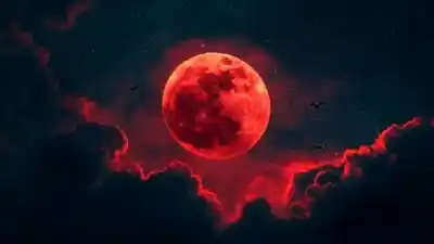Rosario: una noche de observación astronómica para no perderse el eclipse parcial de Luna