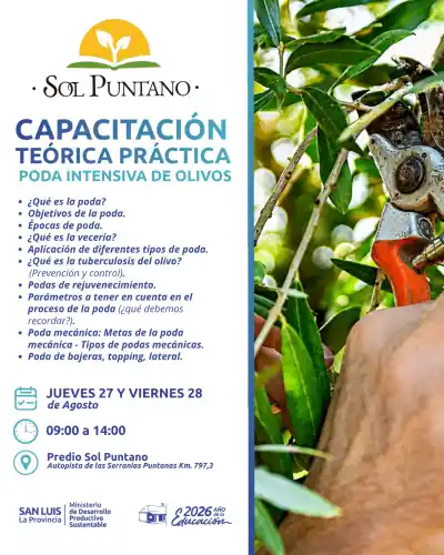 Aprenderán a podar olivos en Sol Puntano: cómo participar de la capacitación gratuita