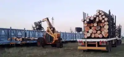 El tren de carga vuelve a rugir en Santo Tomé: la madera misionera ya viaja hacia India