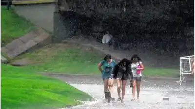 Qué pasa con las lluvias en Santa Fe: el pedido urgente de un especialista del INA