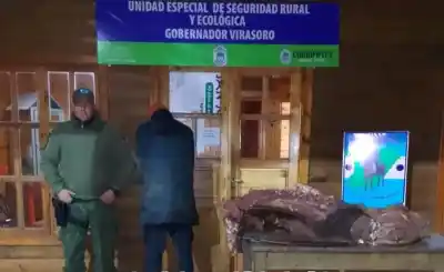 El acolchado que delató a un cuatrero en Virasoro: qué escondían tras la persecución