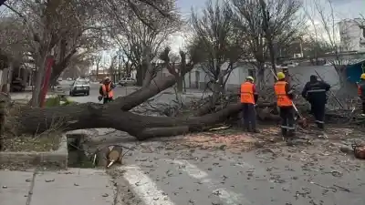 El Zonda golpeó fuerte: 29 intervenciones y dos departamentos en alerta