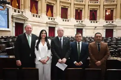 Passalacqua se metió de lleno en la política nacional: ¿qué busca Misiones con el nuevo bloque?