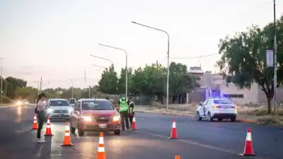 El insólito detalle que delató a un conductor chileno en San Martín