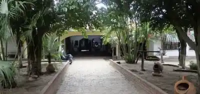 Impactante revelación sobre el menor armado en Salvador Mazza: su abogado habló de un grave antecedente