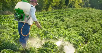 El plan del oficialismo para eliminar la prohibición del glifosato en Misiones