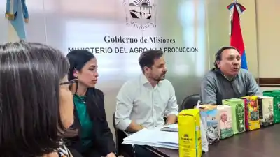 El plan de Misiones para que las marcas de yerba premiadas en el Mundial no se queden sin producción