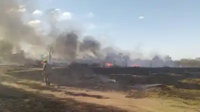 Fuego en la Finca Olmedo: el humo negro que alarmó a toda la ciudad