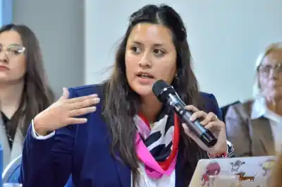 Promesa de 1993: el proyecto que reta al gobierno pampeano