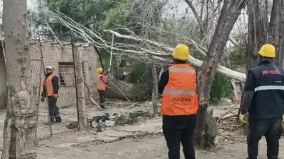 Viento Zonda en Las Heras: 26 intervenciones y un reclamo que preocupa a la Comuna