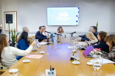 Un piquense con destino fiscal: el dictamen que encendió la Legislatura