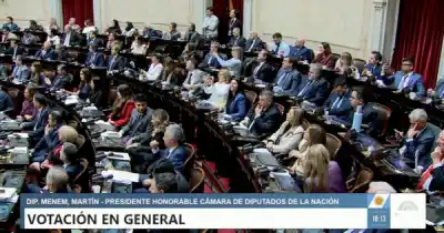 El insólito "positivo" de un diputado de Santa Cruz que selló la media sanción del BCRA