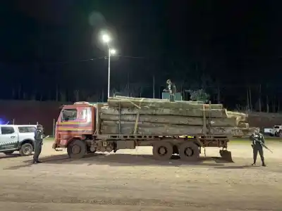 Lo atraparon cargando 20 rollos de madera nativa en una propiedad privada de Dos de Mayo