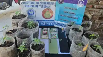 Amenazó a un hombre con un arma y la policía descubrió un cultivo ilegal en su casa