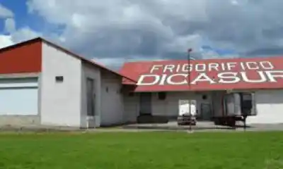 Tras casi un año de cierre, el frigorífico de Trevelin vuelve a tener luz de esperanza