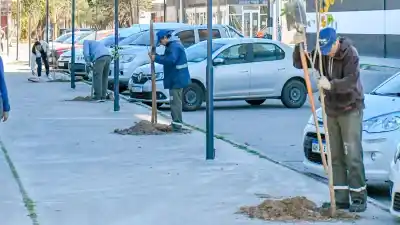 Siguen sumando árboles en la Capital: ahora el turno fue para el barrio Congreso