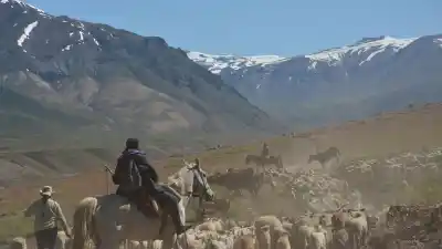 Herederas de la montaña: el rol invisible de las mujeres en los arreos del norte neuquino