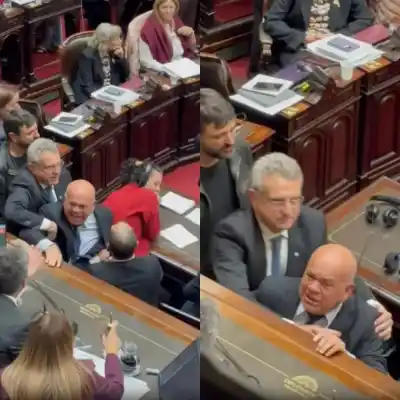 Gritos y empujones en el Congreso: el nuevo escándalo de Leiva contra Menem que terminó en forcejeos