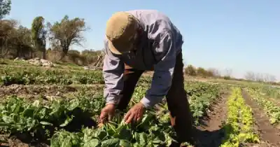 Trabajadores rurales de Mendoza podrán terminar la escuela: el acuerdo que lo hace posible