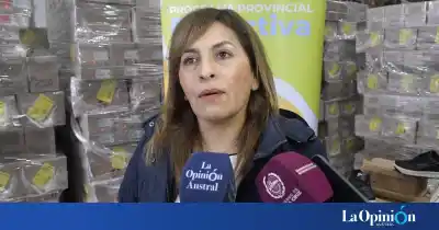 40 mil zapatillas para estudiantes: el anuncio de Vidal que busca cambiar la educación en Santa Cruz