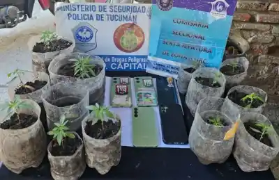 Amenazó a un hombre con un arma y el allanamiento terminó con un hallazgo inesperado