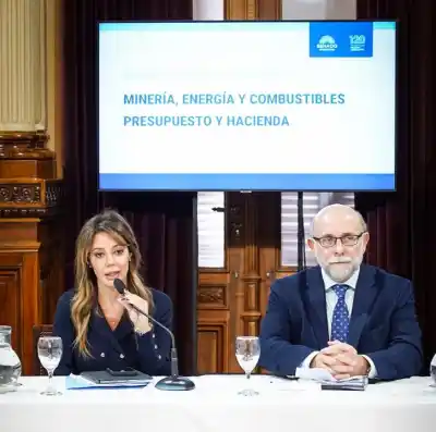 Asumió en el Senado y ya anticipó el rumbo que buscará para la minería y la energía
