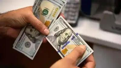 Cayó la trampa del dólar barato: dos ladrones condenados tras maniatar a sus víctimas en un departamento