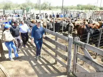 Más de 600 cabezas de ganado: así se vivió la cuarta Feria ganadera paippera en Fortín Soledad
