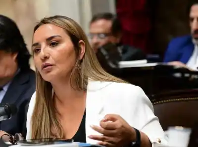 El plan de Freites para sacar a 6 millones de argentinos de la mora: qué propone y cuándo se trata
