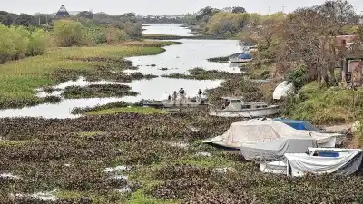 El operativo en la Laguna Setúbal chocó con un muro verde: los embalsados que frenan la limpieza