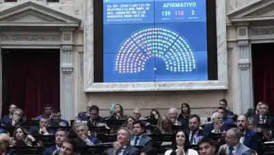 Inocencia Fiscal II: ¿cómo votaron los diputados de la Patagonia?