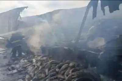 Un camión con salmones se incendió en la Ruta 14: el conductor logró escapar ileso