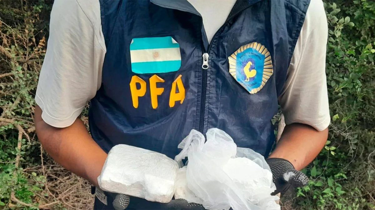 Evidencia incautada en el operativo