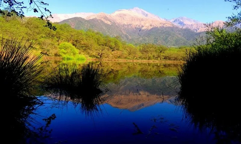 Laguna del tesoro - Laguna Del Tesoro