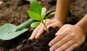 Día Nacional del Árbol – Secundaria El Buen Samaritano