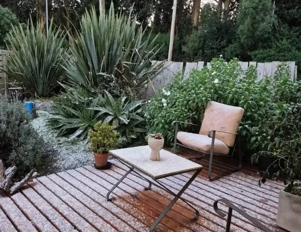 Copo de nieve