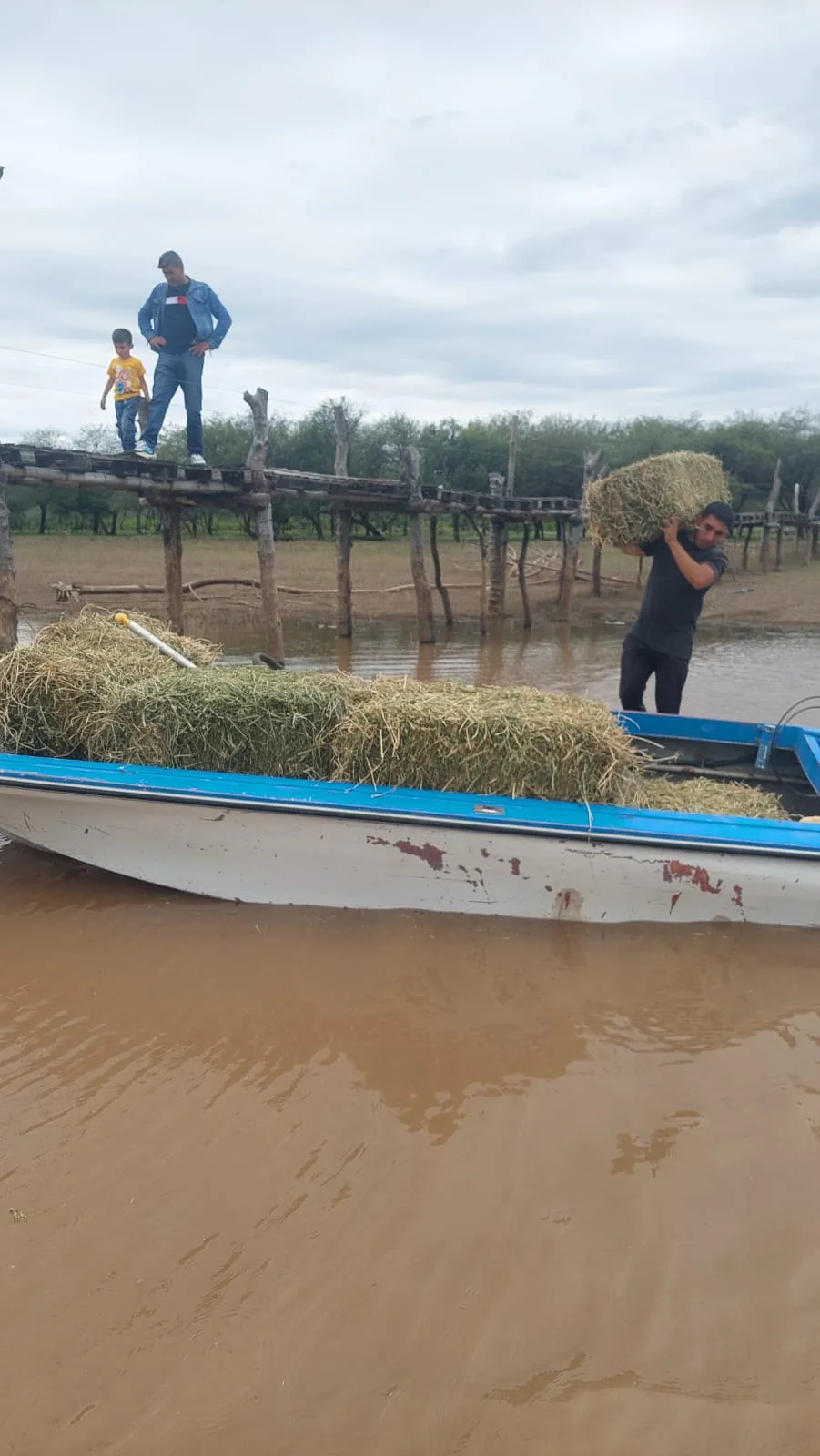 Operativo de asistencia en zona inundada