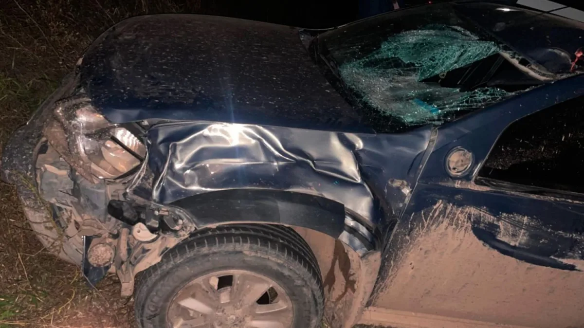 Auto choca contra caballo en Ruta 7