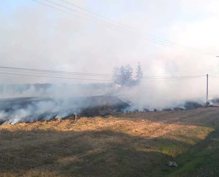 El humo de quema tapó a la ruta 38 en Monteros