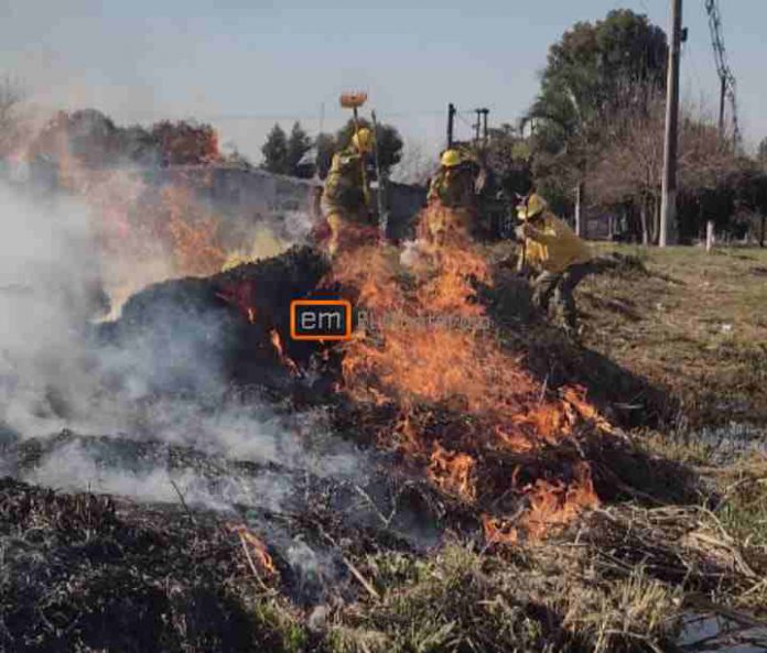 INCENDIO FORESTAL EN ACHERAL