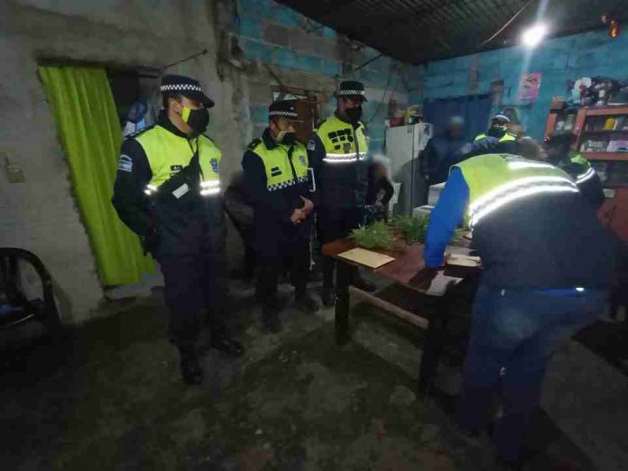 SECUESTRO DE MARIHUANA EN SANTA LUCIA