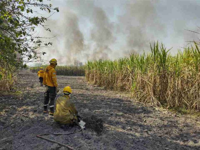 MONTEROS RESPIRA HUMO