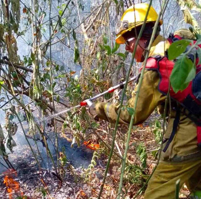 Tucumán en Alerta - NCENDIO EN EL PEDEMONTE DE MONTEROS