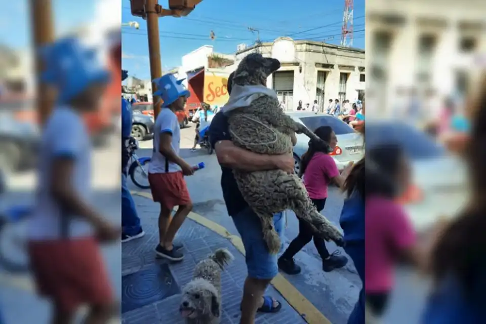 LA OVEJA DE MONTEROS CAMPEONA DEL MUNDO