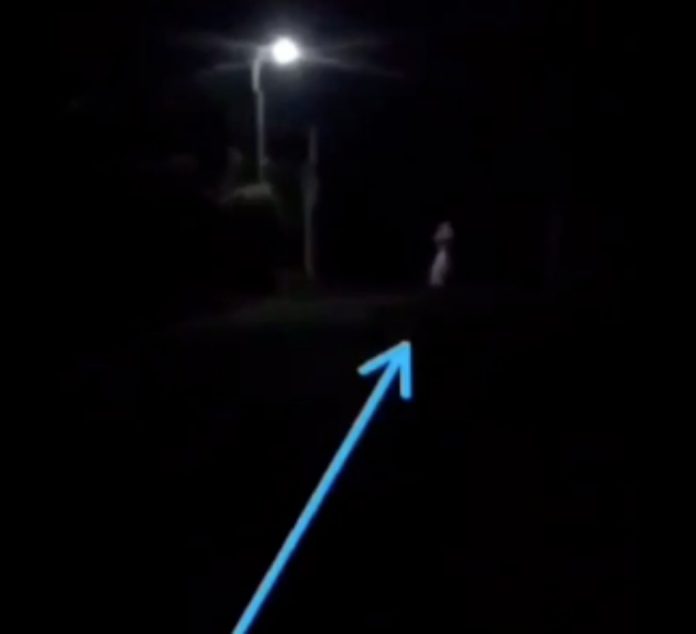 LA LLORONA ATEMORIZA VILLA QUINTEROS