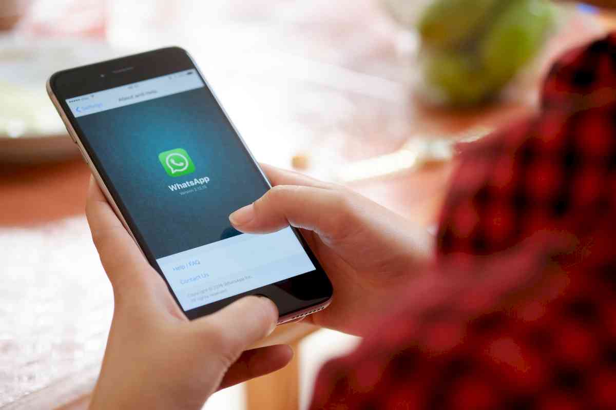 Cómo instalar WhatsApp Plus “morado” - LA NACION