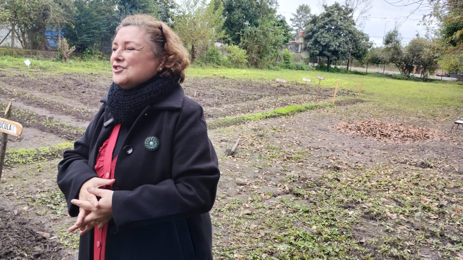HUERTA EDUCATIVA EN LA ESCUELA ISAURO ARANCIBIA