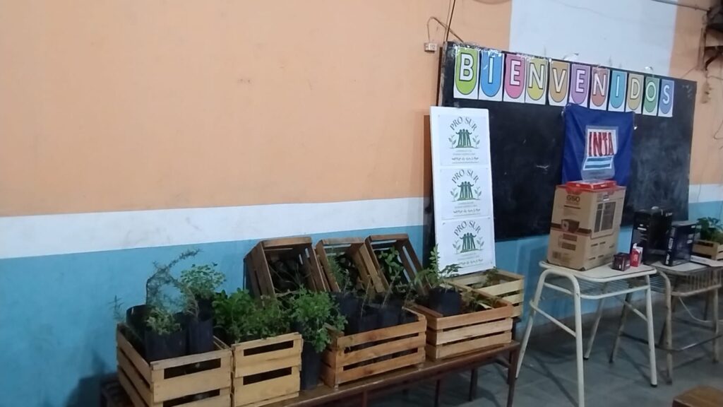PLANTINES DE LA HUERTA EDUCATIVA ISAURO ARANCIBIA