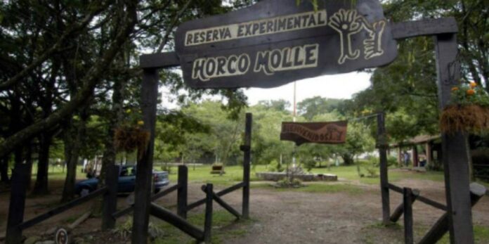 RESERVA HORCO MOLLE
